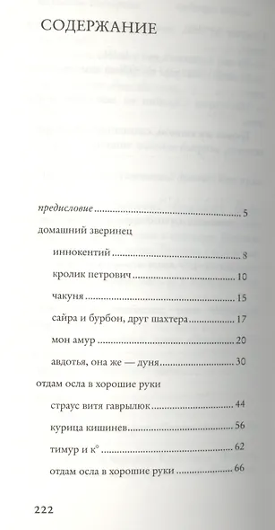 Кошка Скрябин - фото 2