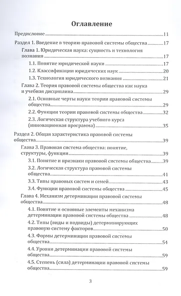 Общая теория правовой системы общества - фото 2