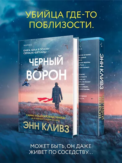 Черный ворон (Шетланд #1) - фото 4