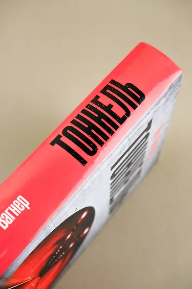 Тоннель. Роман - фото 12