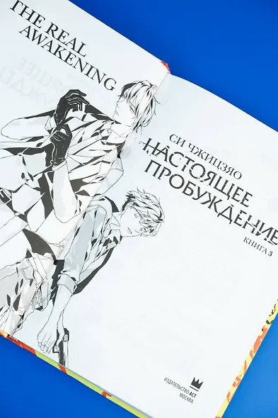 Настоящее пробуждение. Real Awakening. Книга 3 - фото 12