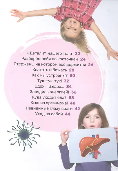 Тело человека - фото 3