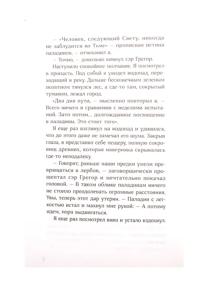 Светлая книга: Ученик паладина - фото 5