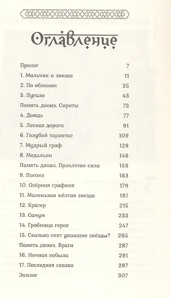 Город с львиным сердцем - фото 10