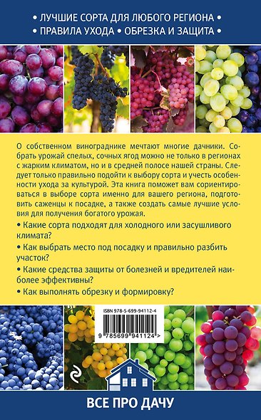 Виноград на вашей даче. Растет не только на юге! - фото 2