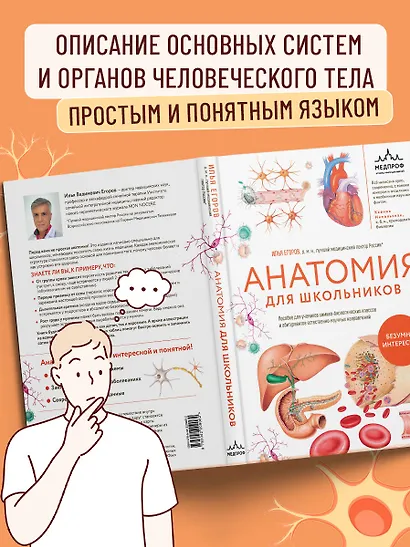 Анатомия для школьников. Пособие для учеников химико-биологических классов и абитуриентов естественно-научных направлений - фото 7