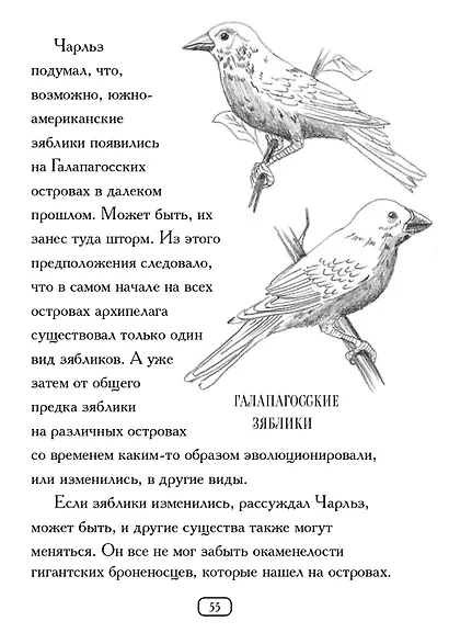 Кто такой Чарльз Дарвин - фото 10