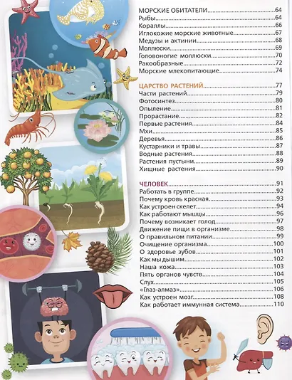 Большая иллюстрированная энциклопедия дошкольника - фото 7