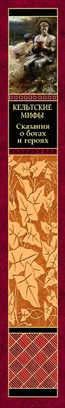 Кельтские мифы - фото 5