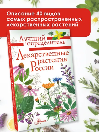 Лекарственные растения России - фото 3