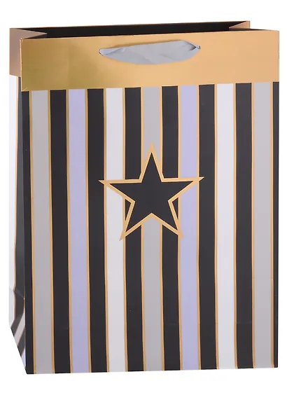 Пакет А3 46*33*10 "Geometry" нейтр., бум.мат - фото 3