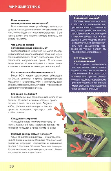 Большая энциклопедия обо всём на свете - фото 3