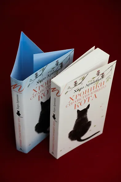 Хроники странствующего кота - фото 11