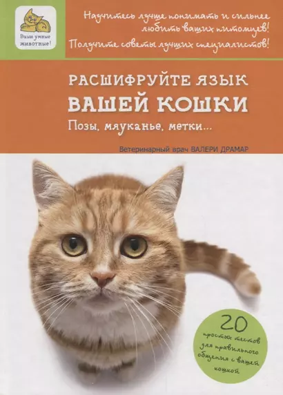 Расшифруйте язык вашей кошки. Позы, мяуканье, метки… - фото 1