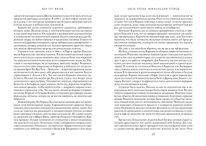 Ван Гог. Жизнь в 2-х тт. (комплект) - фото 6