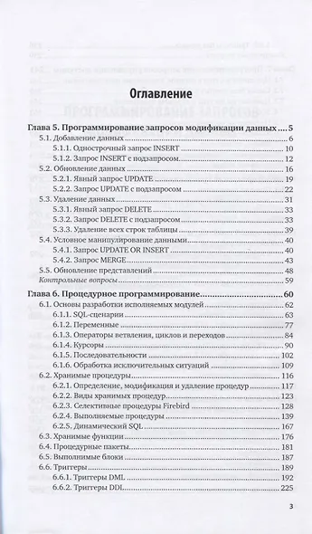 Программирование на SQL. Часть 2. Учебник и практикум для вузов - фото 2