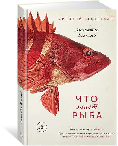 Что знает рыба. Внутренний мир наших подводных собратьев - фото 2