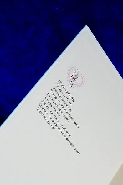 Однажды я стала принцессой. Том 6 (Кто сделал меня принцессой / Who Made Me a Princess). Манхва - фото 10