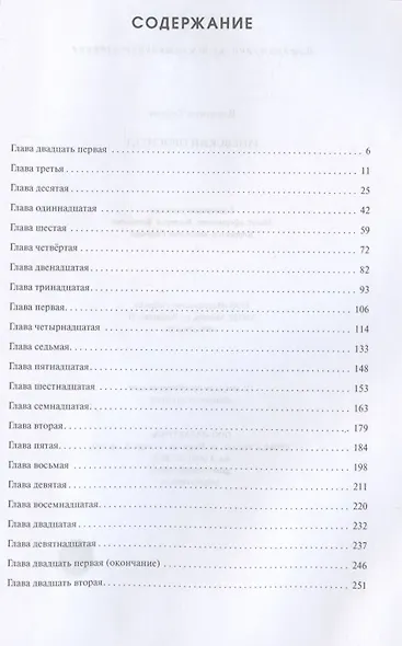 Заневский проспект - фото 2