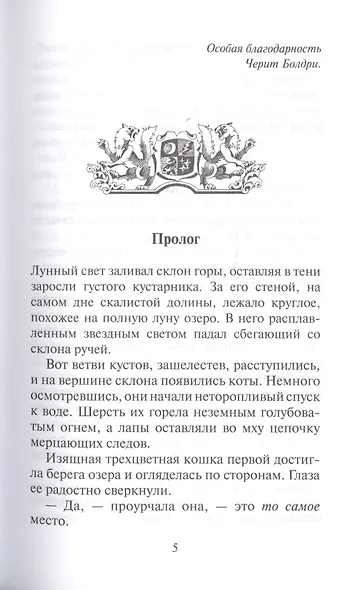 Звездный свет - фото 2