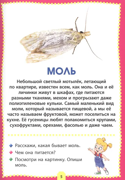 Насекомые. Фотокнига для самых маленьких - фото 5