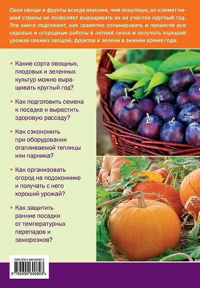 Отличный урожай круглый год - фото 2