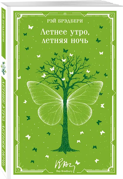 Летнее утро, летняя ночь - фото 3