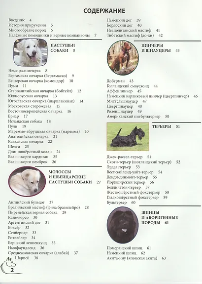 Энциклопедия о собаках - фото 2