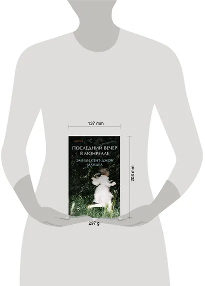 Последний вечер в Монреале - фото 4