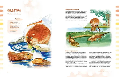 Животные в городе. Где найти и как узнать - фото 15