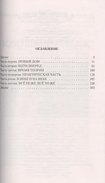 Небесный бродяга - фото 2