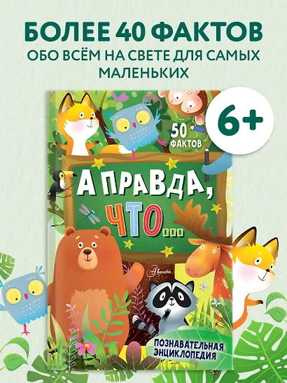 А правда, что... - фото 4