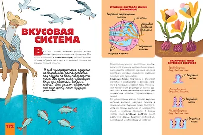 Человек. Исследуем тело и мозг человека - фото 5