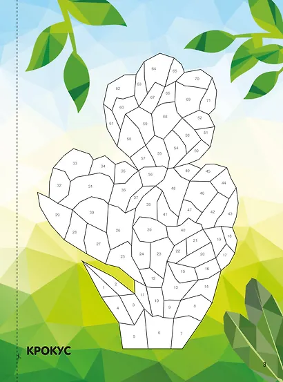 Дивный сад - фото 6