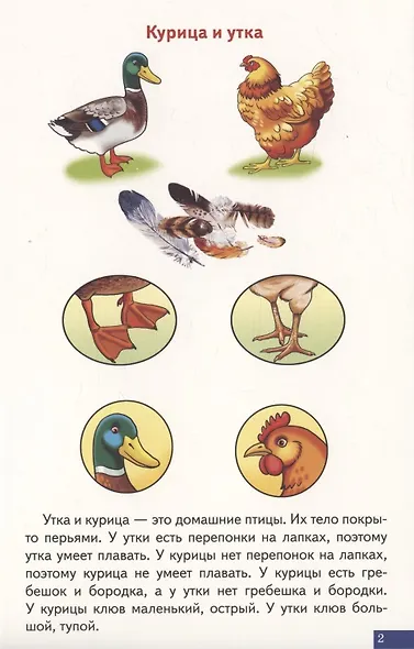 Логопедические карточки "Играй и говори! Схемы для сравнительно-описательных рассказов" - фото 3