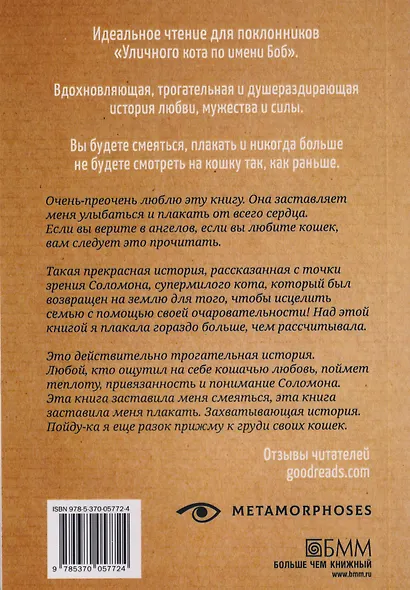 История кота Соломона и Элен, которой было непросто - фото 2