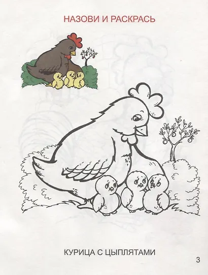 Домашние птицы - фото 2