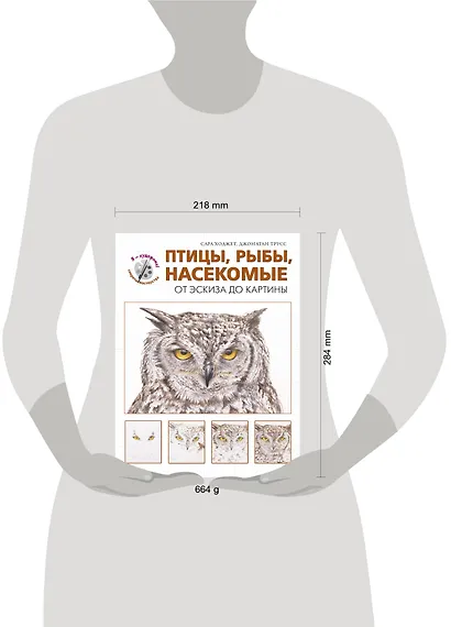 Птицы, рыбы, насекомые. От эскиза до картины - фото 3