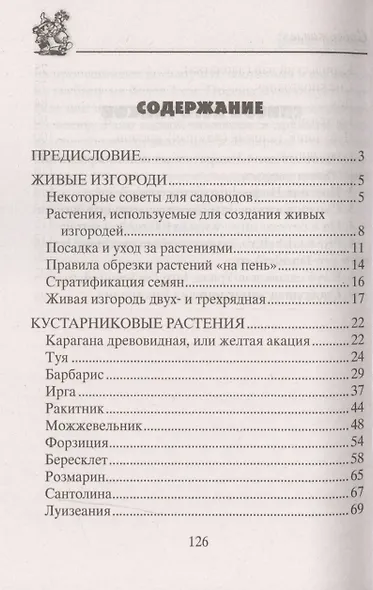 Декоративные кустарники - фото 2
