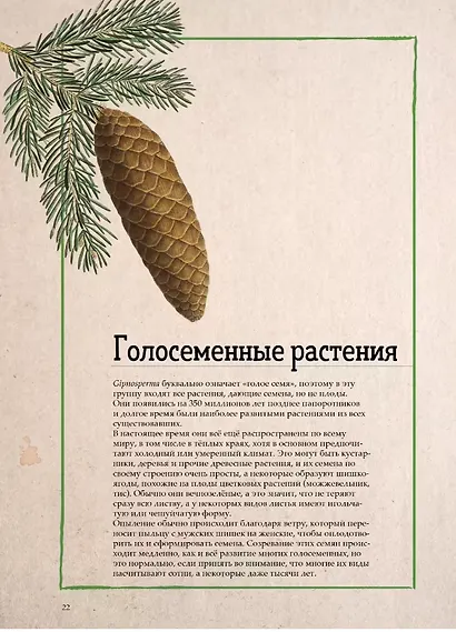 Ботаника в картинках - фото 5