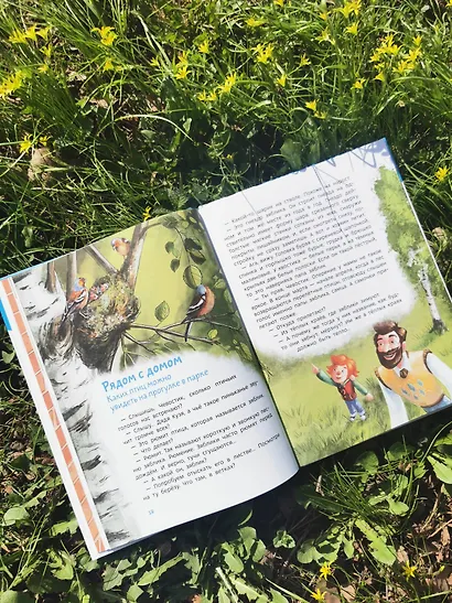 Птицы. Детская энциклопедия (Чевостик) - фото 11