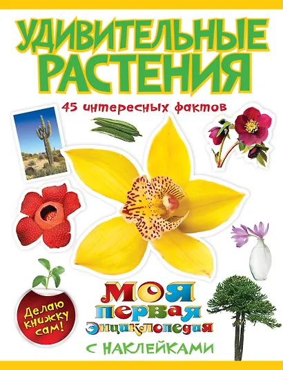 Удивительные растения - фото 1