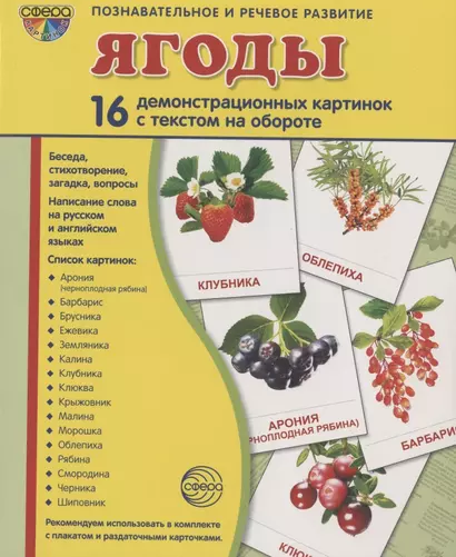 Демонстрационные картинки СУПЕР Ягоды. 16 демонстрационных картинок с текстом (173х220 мм) - фото 1