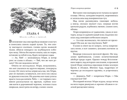 Мэри и ведьмин цветок - фото 5