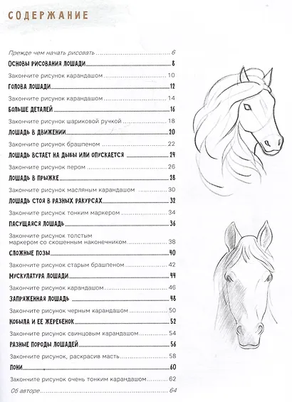 Создаем наброски лошадей шаг за шагом. 50 проектов с подробными объяснениями и рисунками (зеленая обложка) - фото 6