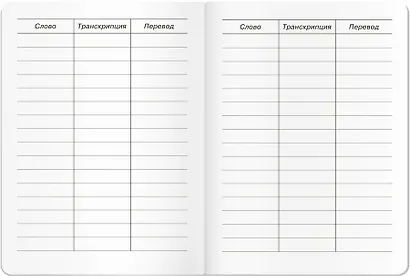 Тетрадь для записи английских слов Айрис, "Панда", А5, 24 листа - фото 5