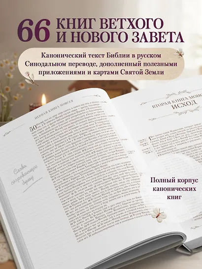 Библия в русском синодальном переводе с полями для записей - фото 5