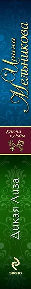 Дикая Лиза : роман - фото 4