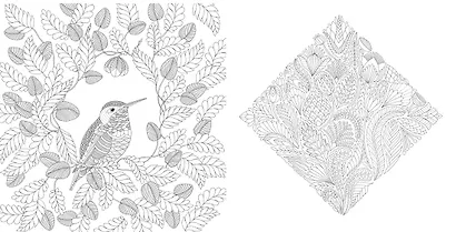 Чудеса природы. Золотая коллекция любимых иллюстраций - фото 7