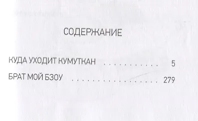 Куда уходит кумуткан. Брат мой Бзоу - фото 6
